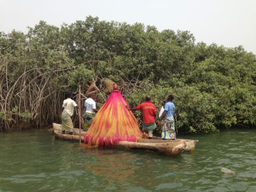 Lire la suite à propos de l’article Sacralisation des mangroves : Dix ans de succès pour la conservation durable et traditionnelle dans la Bouche du Roy