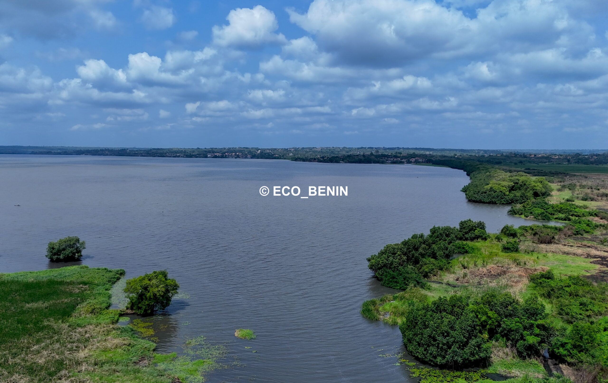 Lire la suite à propos de l’article Les initiatives de restauration des écosystèmes : une voie vers un développement durable au Bénin